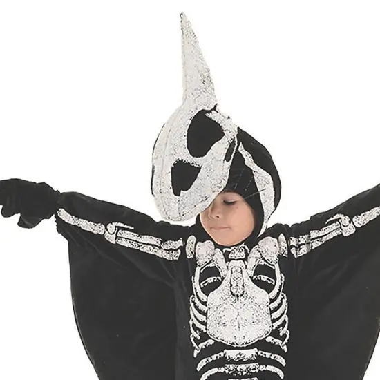 Child's Pterodactyl Costume {2}