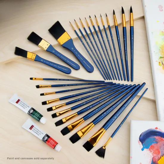 RSET-9383 | 25pc Black Taklon Variety Brush Set {3}