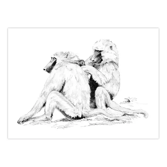 SKBNL7 | Sketching Made Easy™ Baboons 10pc 11.25" x 15.375" Sketching Art Project {2}