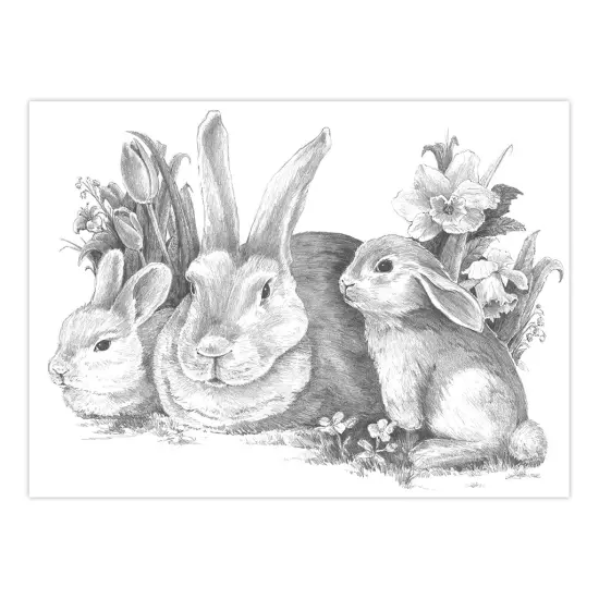 SKBNL9 | Sketching Made Easy™ Bunnies 10pc 11.25" x 15.375" Sketching Art Project {2}