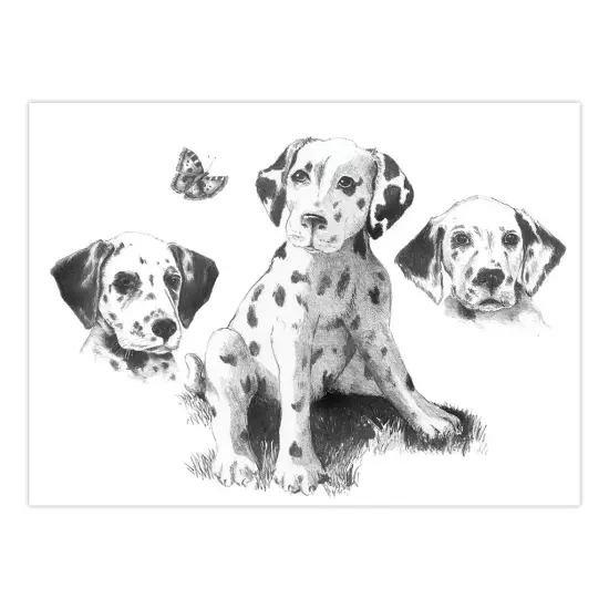 SKBNL1 | Sketching Made Easy™ Dalmatians 10pc 11.25" x 15.375" Sketching Art Project {2}