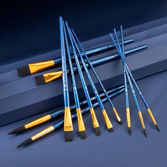 RSET-9302 | 12pc Black Taklon Long Handle Variety Brush Set {3}