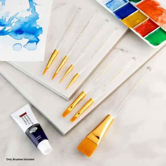 RSET-9170 | 7pc Golden Taklon Variety Brush Set {4}