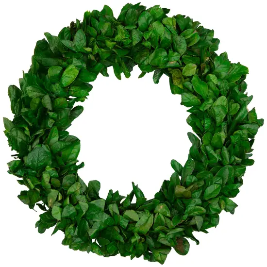 Northlight Preserved Leaf Spring Garden Wreath - 20" - Unlit Green {3}