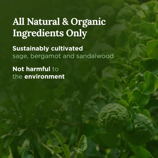 Magnificent 101 Long-Lasting Home Blessing - Love & Laughter Aromatherapy Smudge Candle | 6 Oz - 35 Hour Burn | All Natural Soy Wax, Sage, Bergamot & Sandalwood | Meditation & Manifestation White {3}