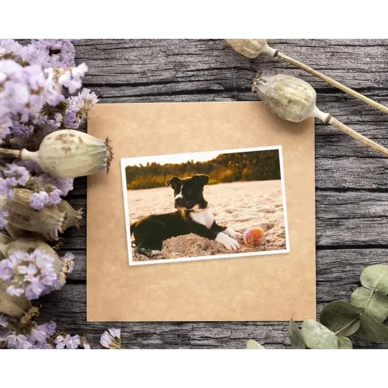 40 Pack Puppy Dog Postcards Bulk Set - All Occasion Assorted Blank Post Cards Greeting Bulk Box Set - 4 x 6 Inches {3}