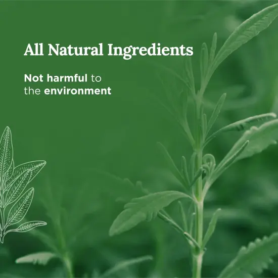 Magnificent 101 Long-Lasting Manifestation & Intention Aromatherapy Candles - Set of 6 | 21 Oz - 84-Hour Burn | 100% Soy Wax - Cedar, Palo Santo, Pure Sage, Lotus, Rose & Lavender Multicolor {3}