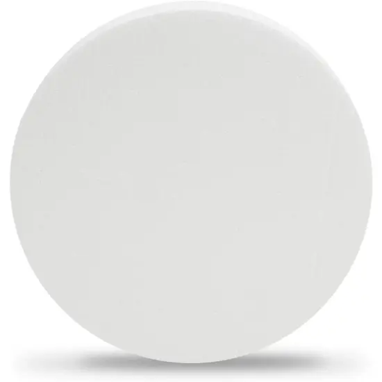 Craft Foam Disks, White Circles for Arts and DIY Crafts (10 x 2 in, 3 Pack) {5}
