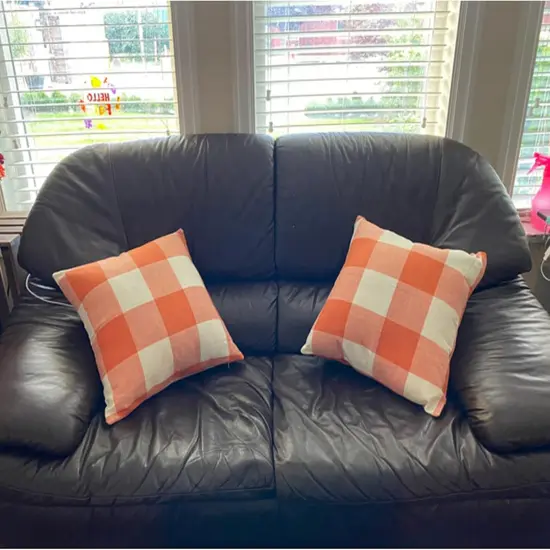 Set of 2 Fall Outdoor Orange Decor Throw Pillow Covers 20x20 {5}