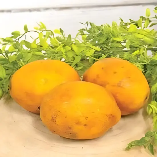 Yellow Beeswax-Dipped Papier Mache Lemons Set of 3 with Rustic Finish {2}