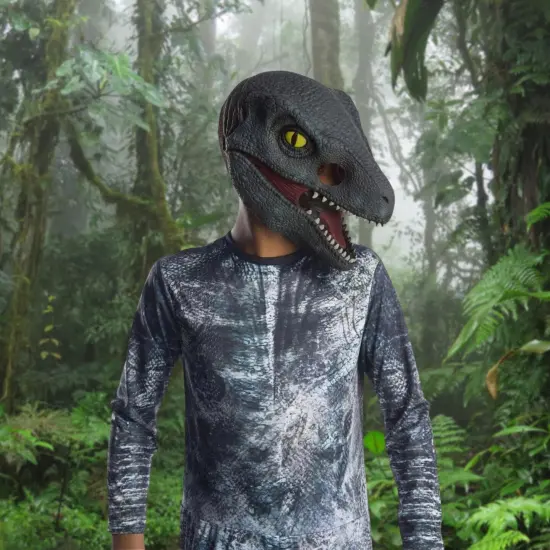 Jurassic World: Fallen Kingdom Blue Velociraptor 3/4 Child Costume Mask {3}
