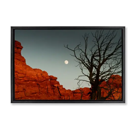 Stupell Industries Full Moon Canyon Photography Floating Frame By Jadei Graphics {1}