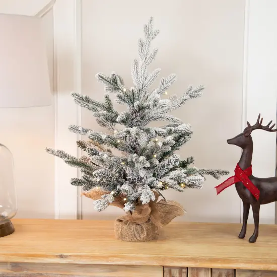 Northlight Real Touch&trade; Pre-Lit B/O Tamarack Pine Artificial Christmas Tree with Burlap - 2' Warm White LED Green {1}