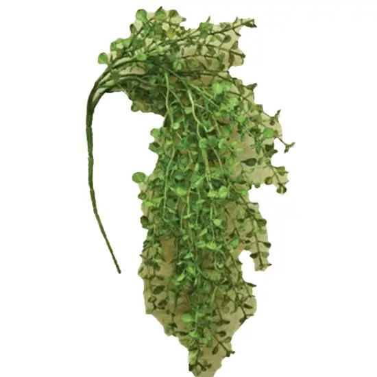 19" Light Green Hanging Pepper Grass Bush with Small Rounded Leaves {1}