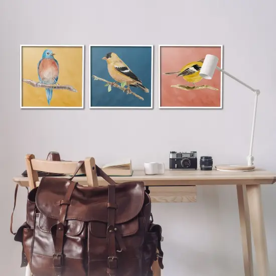 Stupell Industries Brilliant Birds on Branches 3 pc Framed Giclee Wall Art Set Design by Lanie Loreth {2}