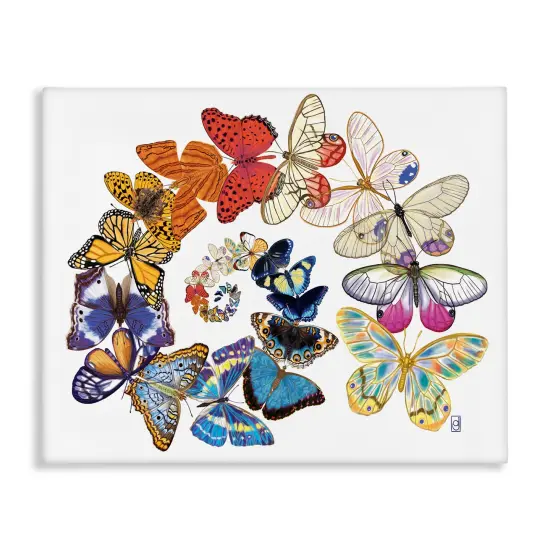 Stupell Industries Flying Butterfly Spiral Canvas Wall Art Design by Ann Jasperson {1}