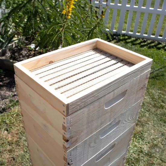 Stoney Acres Candy Board Feeder for 8-Frame Langstroth Hive, Essential Winter Feed for Bees, Durable and Easy-to-Use, Keeps Bees Fed In Cold Months {4}