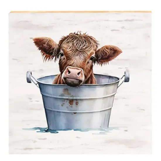 Baby Highland Cow In A Bucket Block {1}