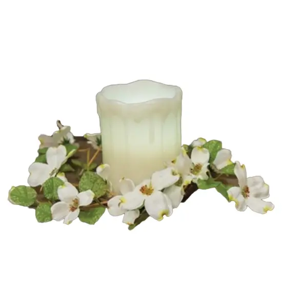 Cream English Dogwood Ring 3.5" {1}