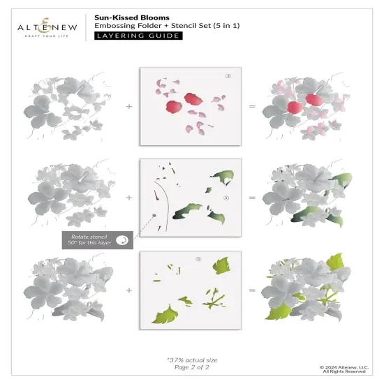 Sun-Kissed Blooms {6}