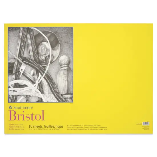 Strathmore 300 Series Bristol Pad - 22" x 30", Vellum, 10 Sheets {1}