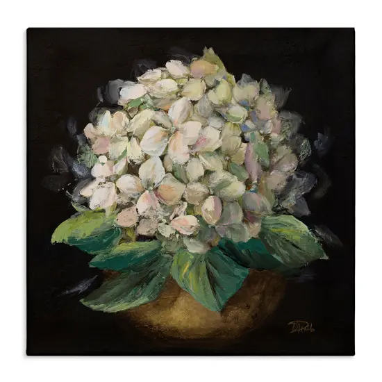 Stupell Industries Potted Hydrangea Plant Canvas Wall Art Design by Patricia Pinto {1}