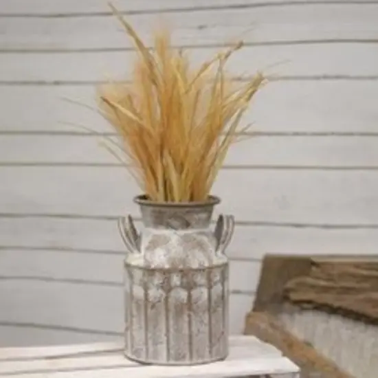 Pale Mellow Whisp Bush {2}