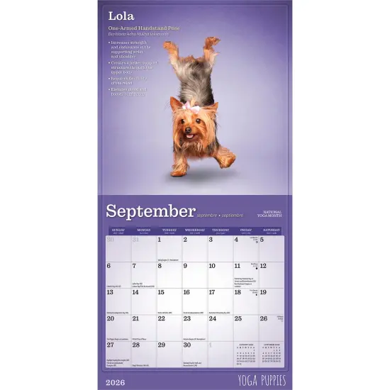 Yoga Puppies OFFICIAL | 2026 7 x 14 Inch (Hanging) Monthly Mini Wall Calendar {4}