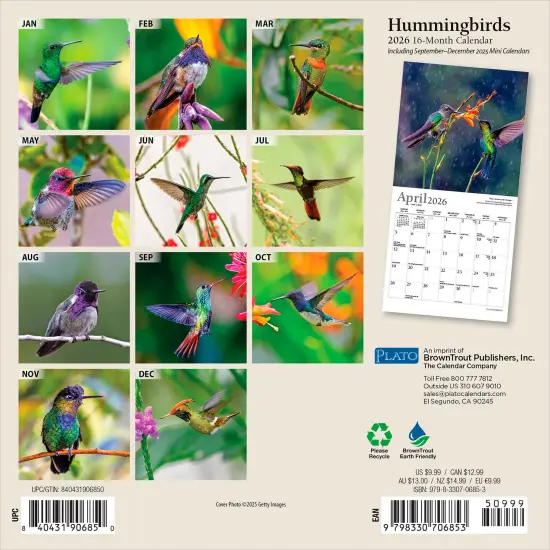Hummingbirds | 2026 7 x 14 Inch (Hanging) Monthly Mini Wall Calendar | Foil Stamped Cover {2}