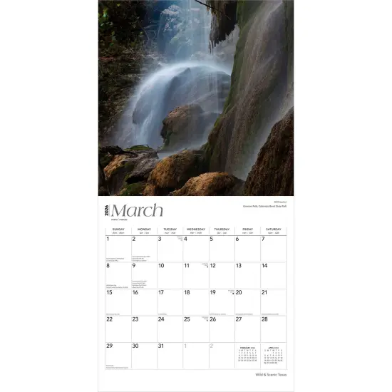 Texas Wild & Scenic | 2026 12 x 24 Inch (Hanging) Monthly Square Wall Calendar | Plastic-Free {3}