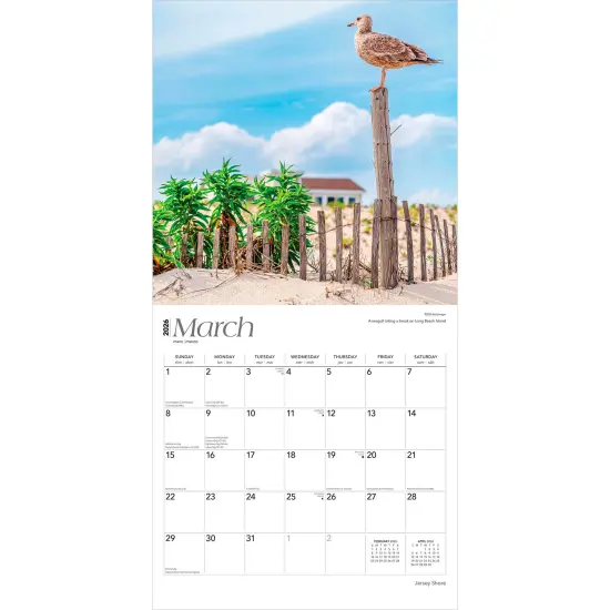 Jersey Shore | 2026 12 x 24 Inch (Hanging) Monthly Square Wall Calendar | Plastic-Free {3}