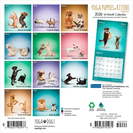 Yoga Puppies & Kittens Together OFFICIAL | 2026 7 x 14 Inch (Hanging) Monthly Mini Wall Calendar {2}