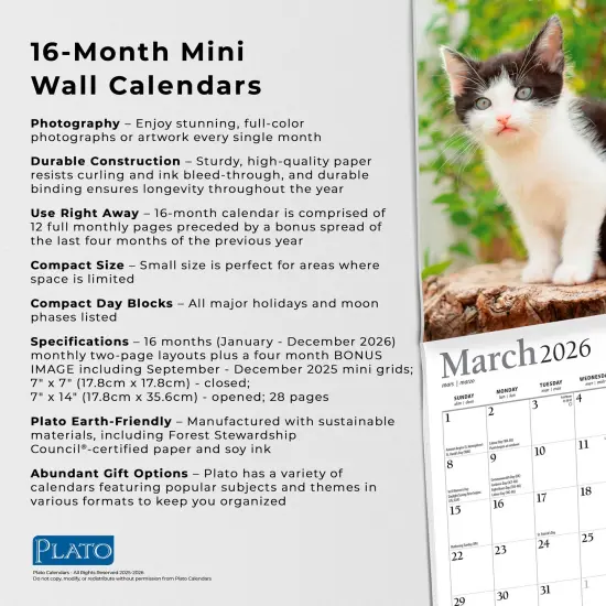 For the Love of Kittens | 2026 7 x 14 Inch (Hanging) Monthly Mini Wall Calendar | Foil Stamped Cover {6}