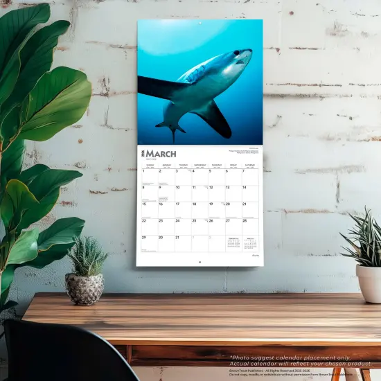Sharks | 2026 12 x 24 Inch (Hanging) Monthly Square Wall Calendar | Plastic-Free {5}
