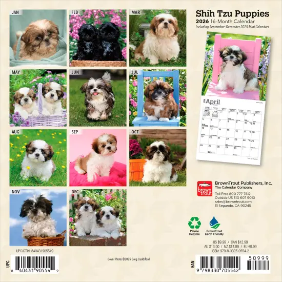 Shih Tzu Puppies | 2026 7 x 14 Inch (Hanging) Monthly Mini Wall Calendar {2}