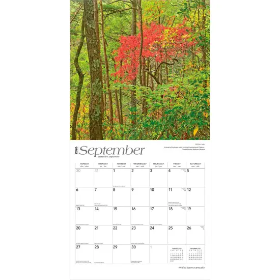 Kentucky Wild & Scenic | 2026 12 x 24 Inch (Hanging) Monthly Square Wall Calendar | Plastic-Free {4}
