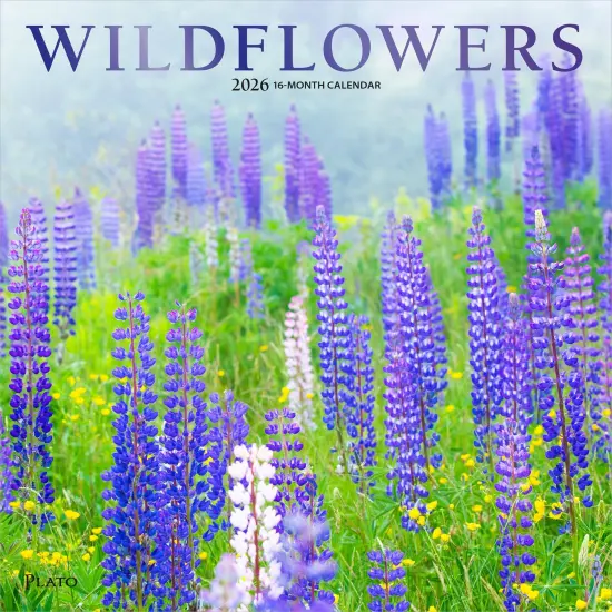 Wildflowers | 2026 12 x 24 Inch (Hanging) Monthly Square Wall Calendar | Foil Stamped Cover {1}