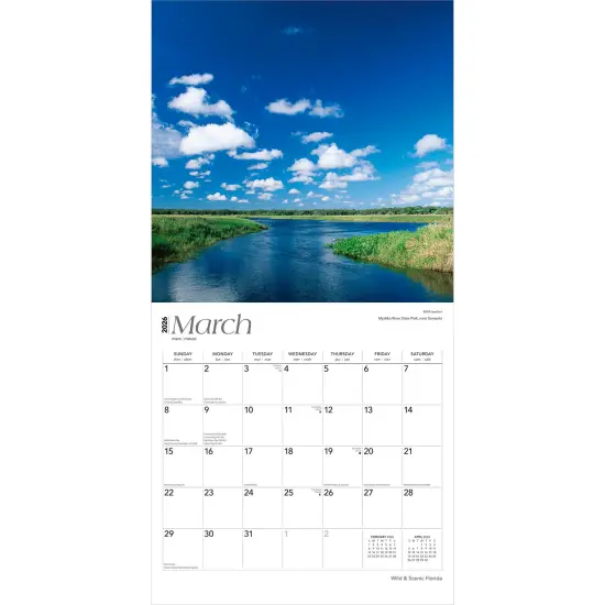 Florida Wild & Scenic | 2026 12 x 24 Inch (Hanging) Monthly Square Wall Calendar | Plastic-Free {3}