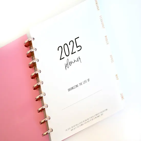 2025 Planner - Mini Horizontal Layout, Disc Bound - "Fuchsia Strokes" (#1004) {5}