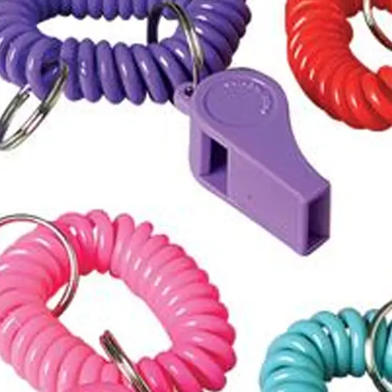 Bracelet Whistle Keychains Include 12 Units {4}