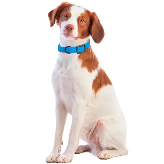 MiMu Medium Silicone Dog Collar - Blue 19.5in Stylish Dog Collar with Prong Buckle {7}