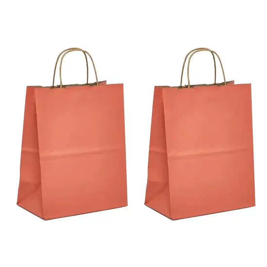 Convenient Tinted Kraft Paper Bag 16" x 6" x 12" {2}