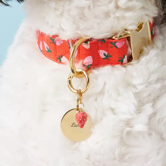 STRAWBERRY DOG COLLAR CHARM {2}