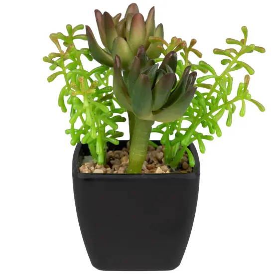 Northlight Potted Artificial Succulent Arrangement - 6" Green {3}