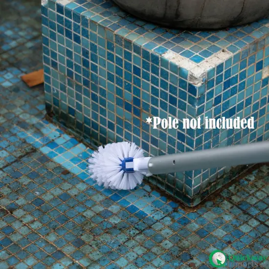 Quickway Imports Round Pool Corner and Step Brush Head Fine Bristle Scrub for In-Ground & Above-Ground Swimming Pools Spas Hot Tubs & Tight Spaces Fits Standard Poles with Easy Clip Handle Attachment {3}