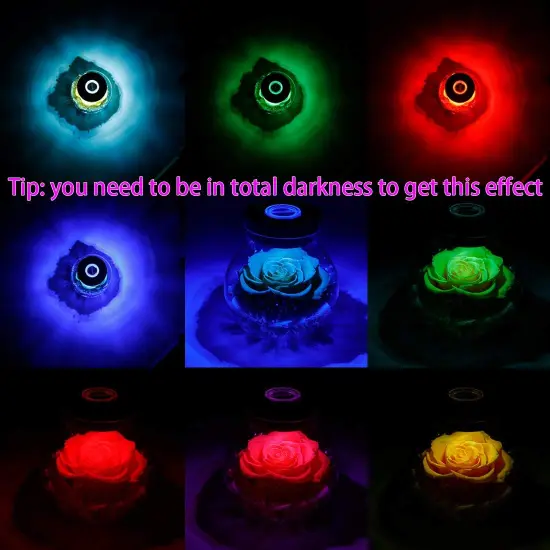 Preserved Real Roses with Colorful Mood Light Wishing Bottle, Eternal Rose， Never Withered Flowers, a Gifts for Women 4.3inch 1pcs (Yellow) {3}
