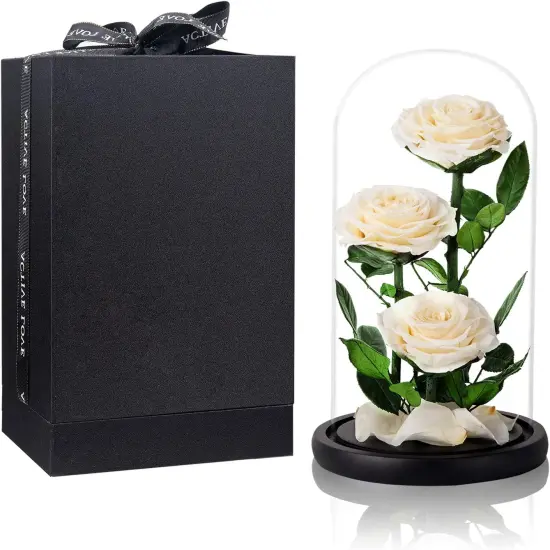 White Roses Handmade Preserved Real Rose in Glass Dome, Long Lasting Roses Never Withered, Birthday Gifts for Women (13 inch) {1}