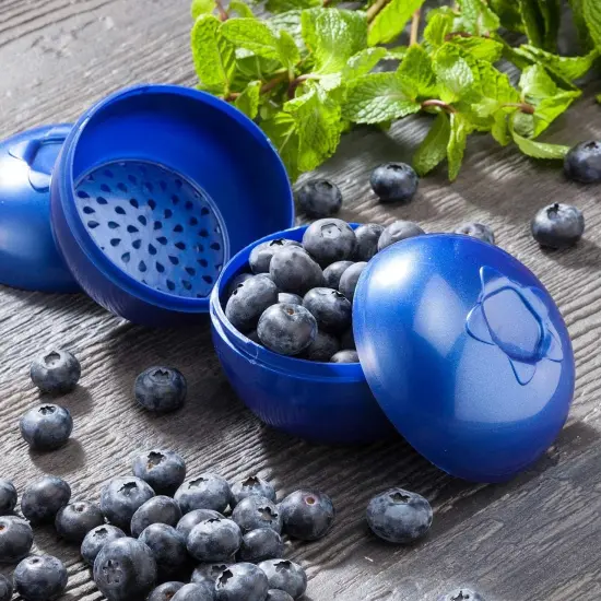 Hutzler Blueberries To-Go Bento Box, Blueberry Travel Lunch Storage Snack Container {2}