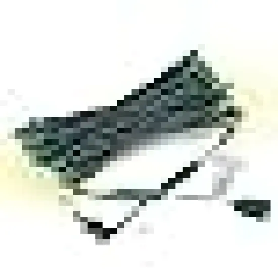 Christmas Lights Outdoor Warm White {6}