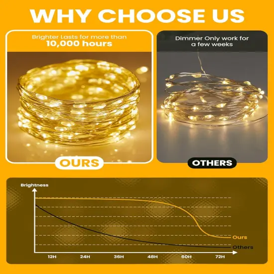 Fairy Lights with Remote {4}